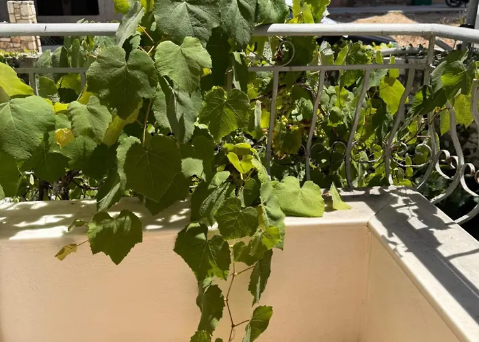 Travellers ساراندا